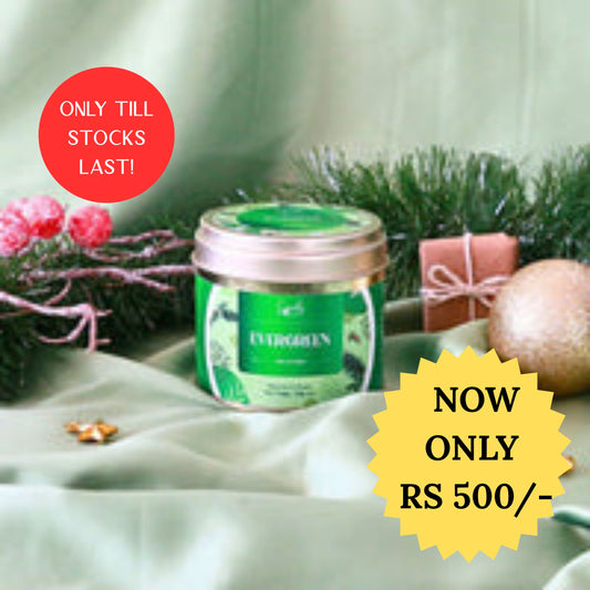 Evergreen Tall Tin- SALE!