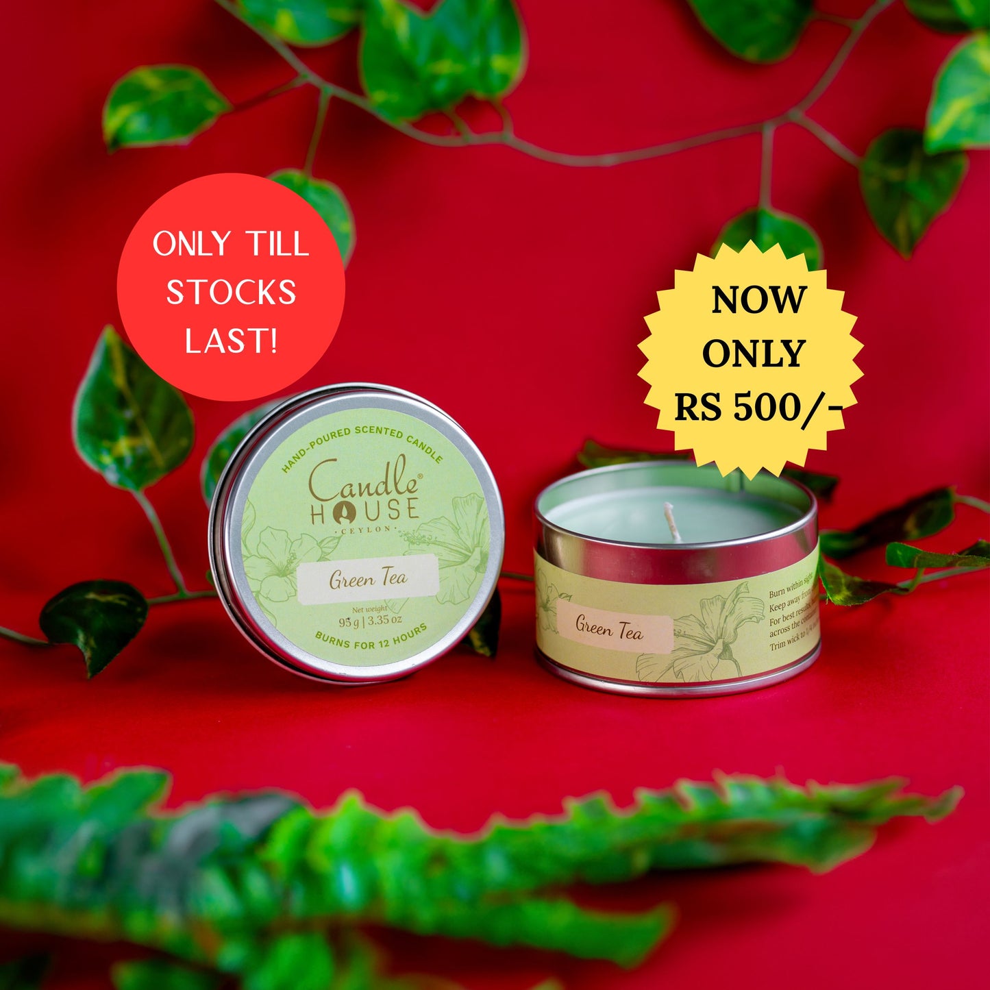Green Tea Regular Tin Candle-SALE!