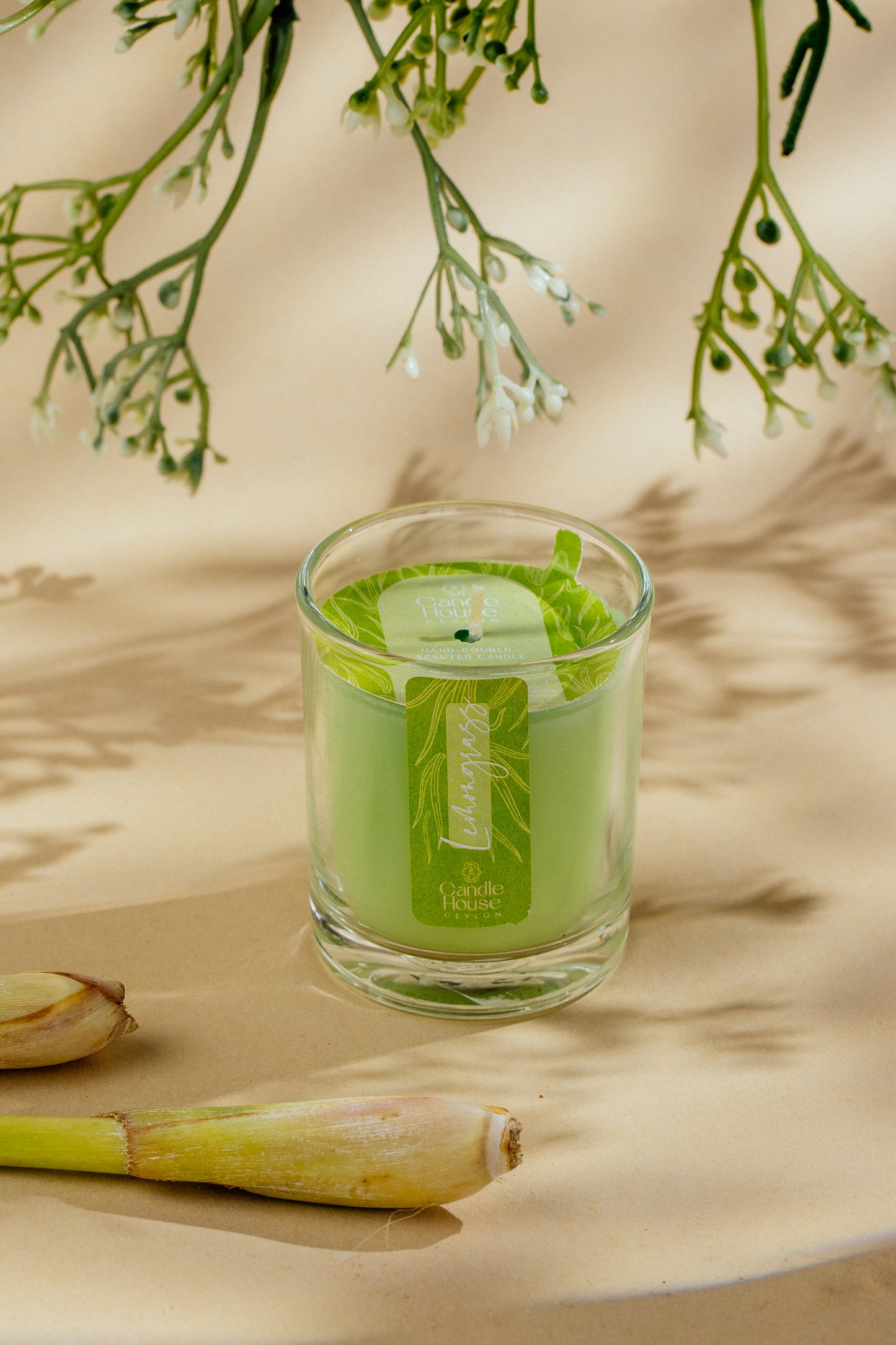 Lemongrass Mini