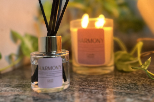 Home Fragrance Guide: Candles, Diffusers, and Incense Compared