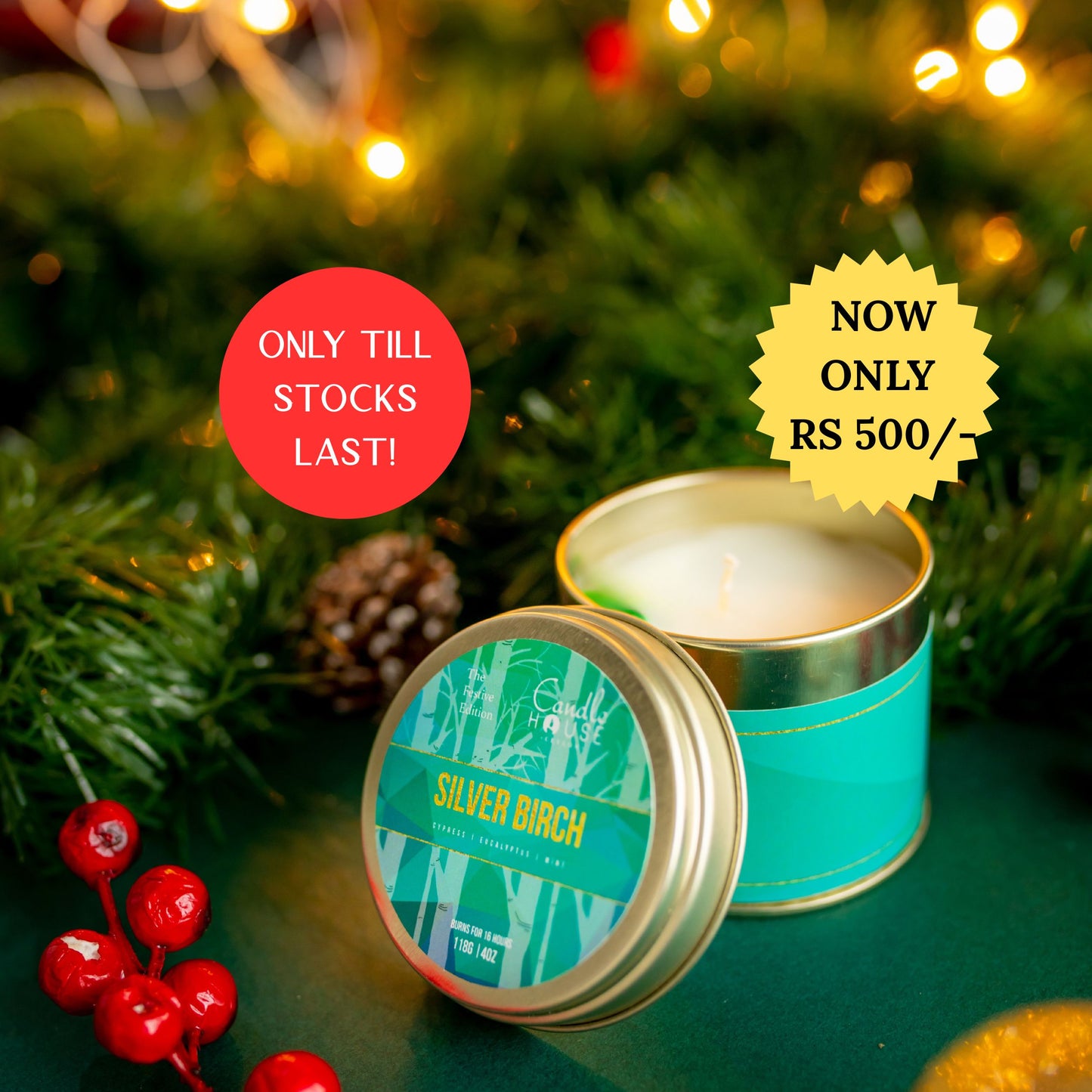 Silver Birch Tall Tin- SALE